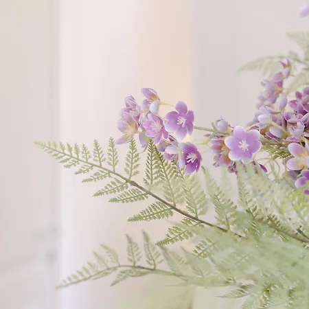 Bed & Breakfast La Duca &